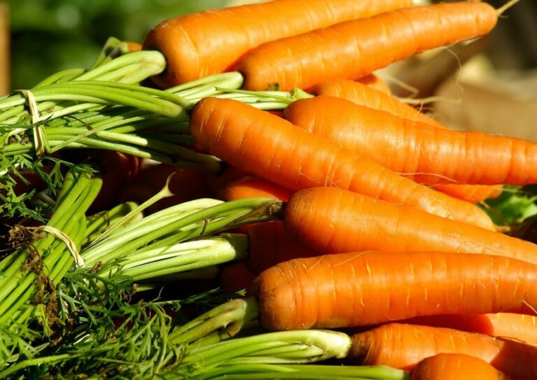 Comment bien conserver les carottes ?