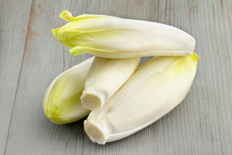 Comment bien conserver les endives ?