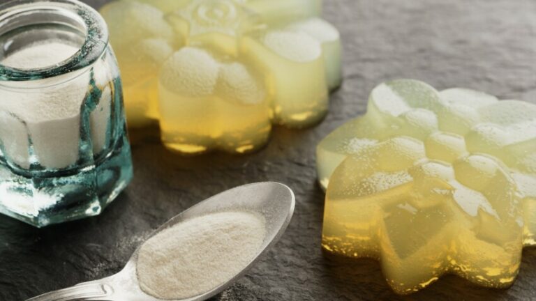 Comment bien doser la gélatine ? Comment bien doser la gélatine ?