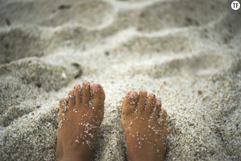 Comment bien enlever le sable des morilles ? Comment bien enlever le sable des morilles ?