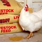 Comment bien se nourrir sans cuisiner ?