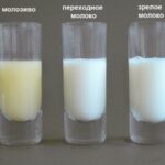 Comment calculer la matière utile du lait ?