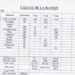 Comment calculer la ration alimentaire d'une personne ?