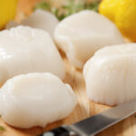 Comment choisir des noix de Saint-jacques ?