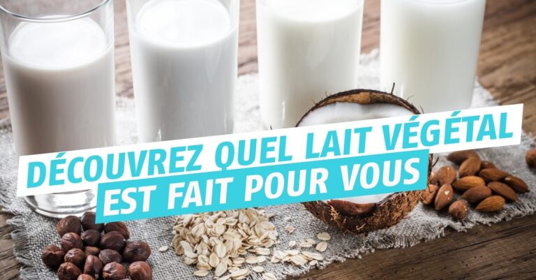 Comment choisir lait de suite ? Comment choisir lait de suite ?