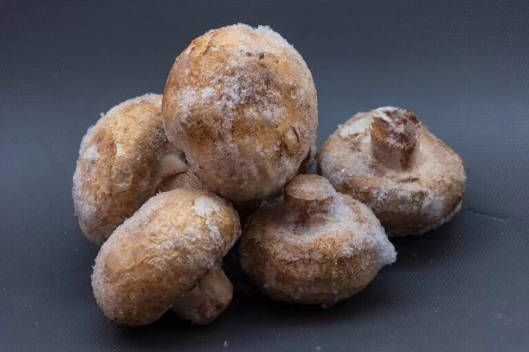 Comment congeler des champignons de Paris sans les blanchir ? Comment congeler des champignons de Paris sans les blanchir ?
