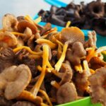 Comment congeler des champignons des prés ?