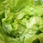 Comment conserver de la salade verte ?