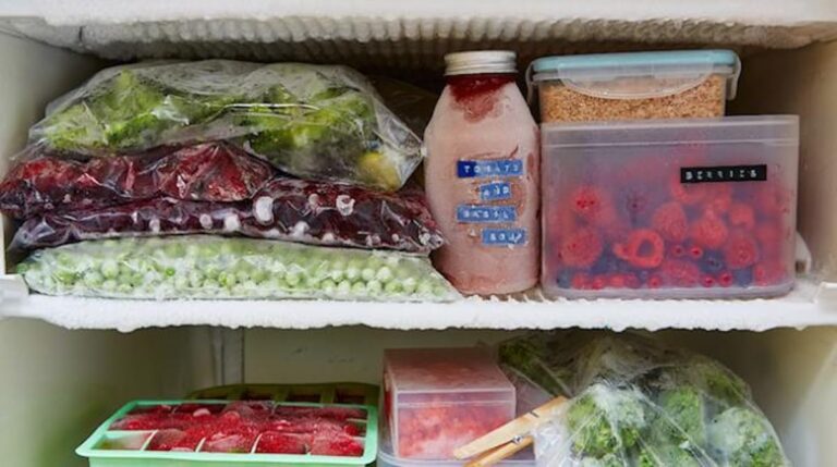 Comment conserver des bolets au congélateur ? Comment conserver des bolets au congélateur ?