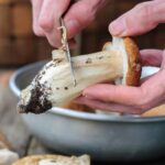 Comment conserver des champignons dans le frigo ?