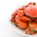 Comment conserver des crabes cuits ?