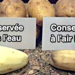 Comment conserver des quenelles cuites ?