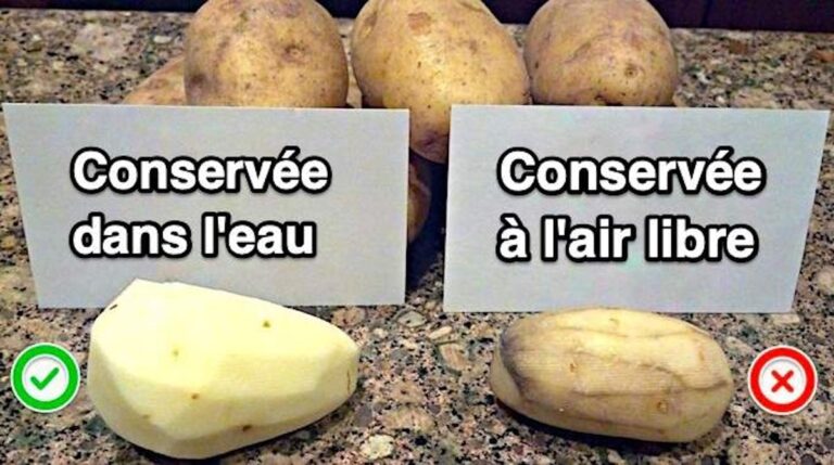 Comment conserver des quenelles cuites ?