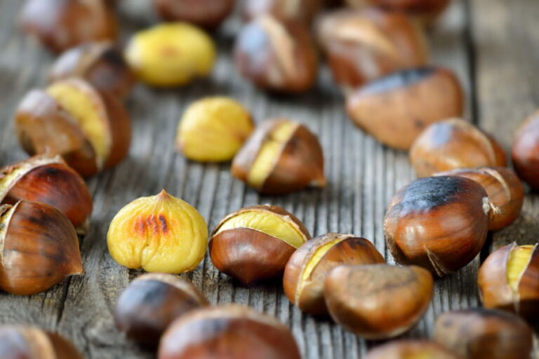 Comment conserver des rognons ?