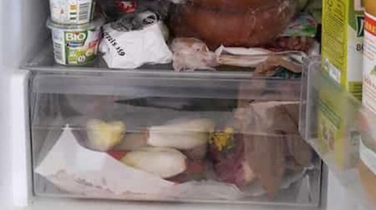 Comment conserver du guacamole au frigo ?