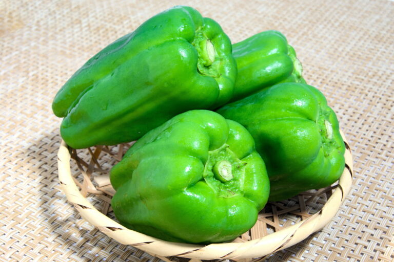 Comment conserver du poivron vert ? Comment conserver du poivron vert ?