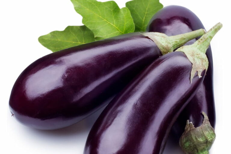 Comment conserver l'aubergine cuite ?