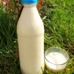 Comment conserver le lait cru de vache ?