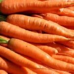 Comment conserver les carottes dans le frigo ?