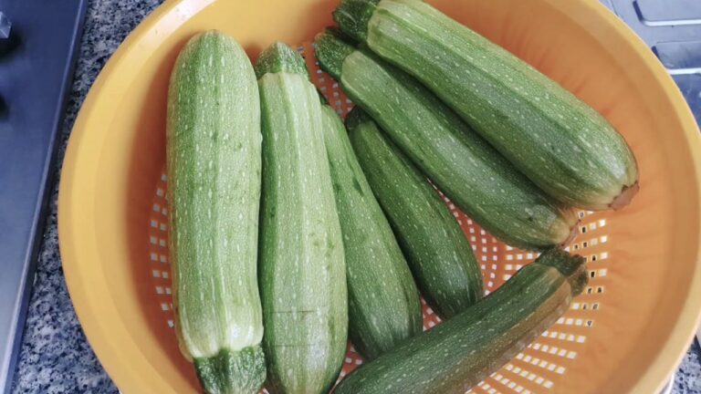 Comment conserver les courgettes cuites ?