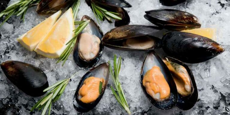 Comment conserver les moules une fois lavées ? Comment conserver les moules une fois lavées ?