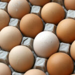 Comment conserver les œufs plusieurs mois ?
