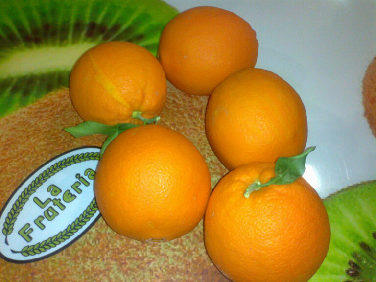 Comment conserver les oronges ?