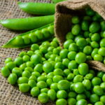 Comment conserver les petit pois du jardin ?