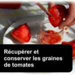 Comment conserver les tomates sous vide ?