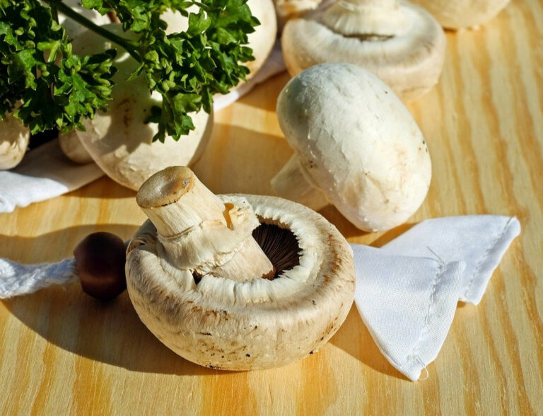 Comment conserver plus longtemps les champignons de Paris ?
