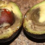 Comment conserver un kiwi coupé ?