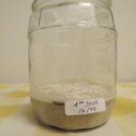 Comment conserver une génoise cuite jusqu'au lendemain ?