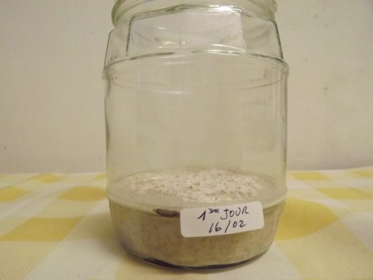 Comment conserver une génoise cuite jusqu’au lendemain ? Comment conserver une génoise cuite jusqu'au lendemain ?