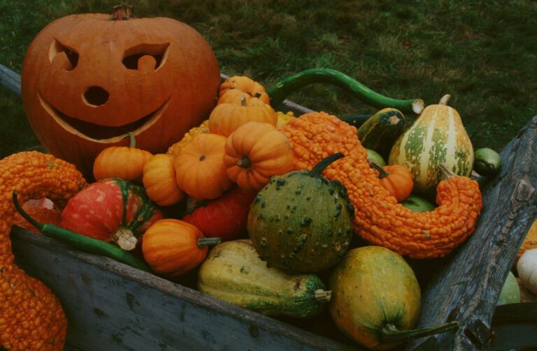 Comment consommer citrouille ? Comment consommer citrouille ?