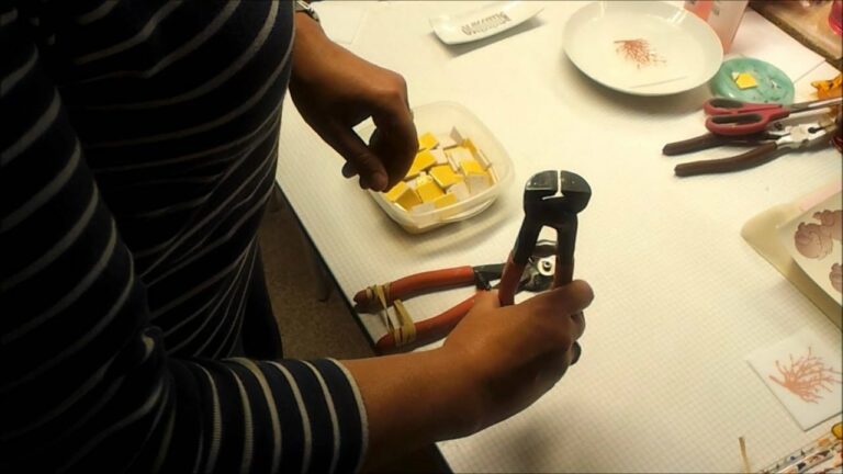 Comment couper de la tome ?