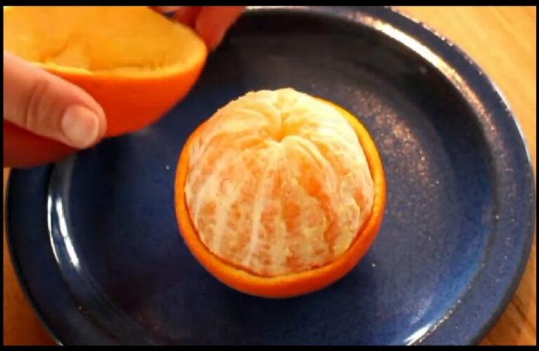 Comment couper une orange joliment ? Comment couper une orange joliment ?