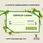 Comment créer un certificat cadeau ?