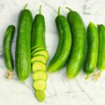 Comment cueillir concombre libanais ?