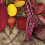 Comment cuire des betterave jaune ?