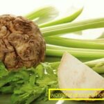 Comment cuire le céleri ?