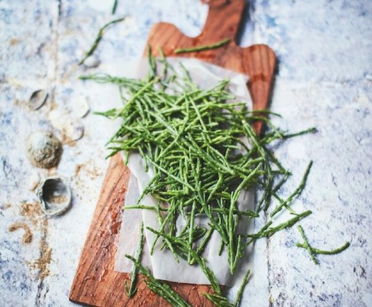 Comment cuisiner de la salicorne ?