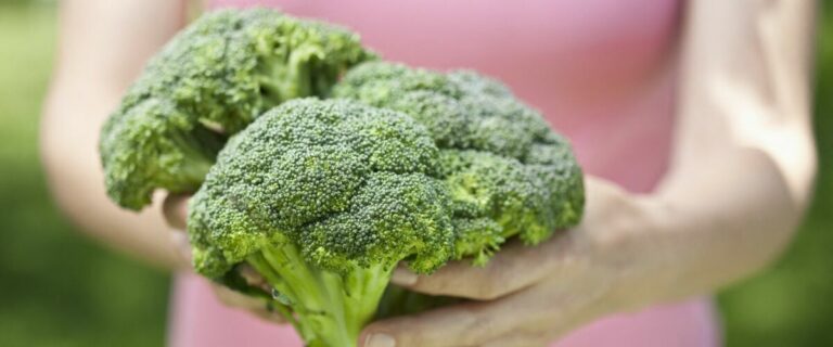 Comment cuisiner le brocoli vert ?