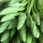 Comment cuisiner les asperges sauvages ?