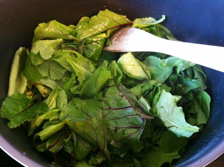 Comment cuisiner les feuilles et tiges de betteraves rouges ?