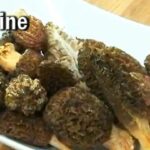 Comment cuisiner les morilles fraîches ?