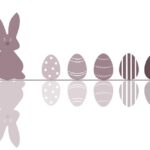 Comment déterminer l'âge d'un mouton ?