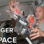 Comment différencier la la l'a l'as ?