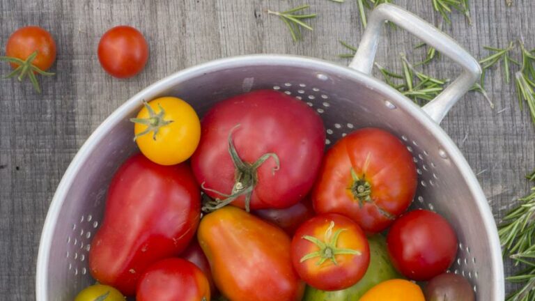 Comment donner du goût a des tomates ?
