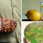 Comment eliminer la graisse de son foie ?