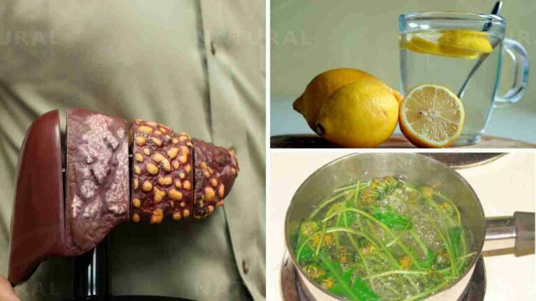 Comment eliminer la graisse de son foie ?